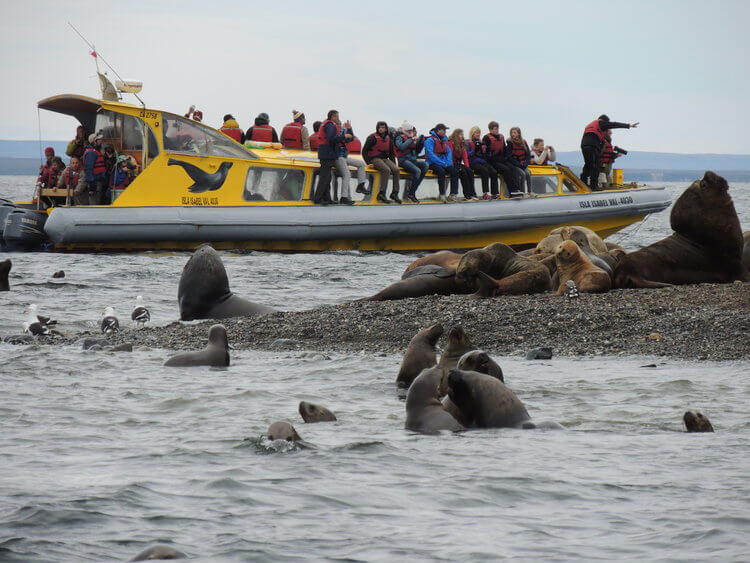 Isla-Magdalena-y-Marta-06