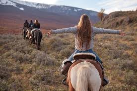 PNT __ Cabalgata Sofia