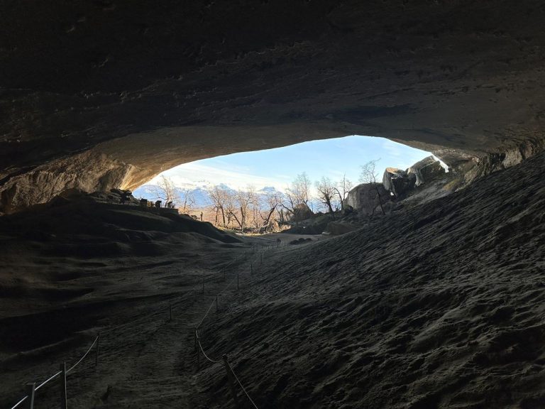 FD PAINE & MILODON - Cueva