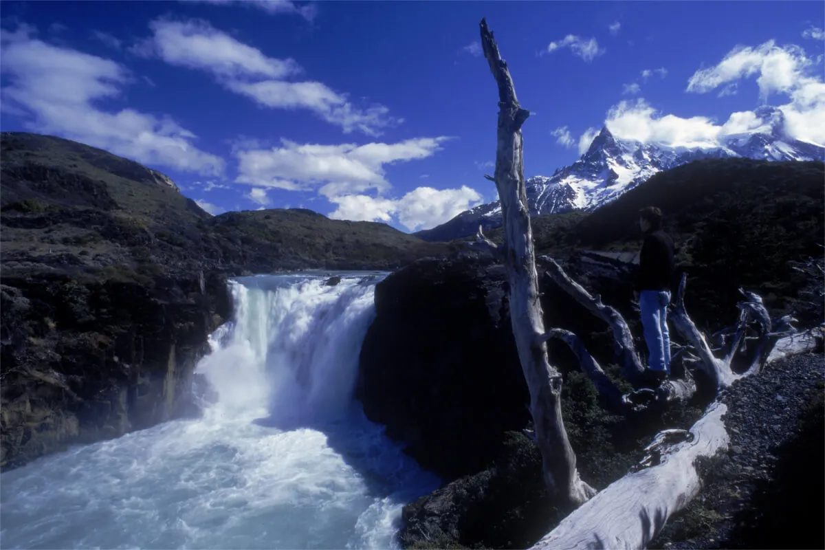 Torres del Paine y Milodón