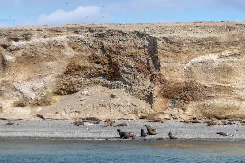 Isla Magdalena y Marta