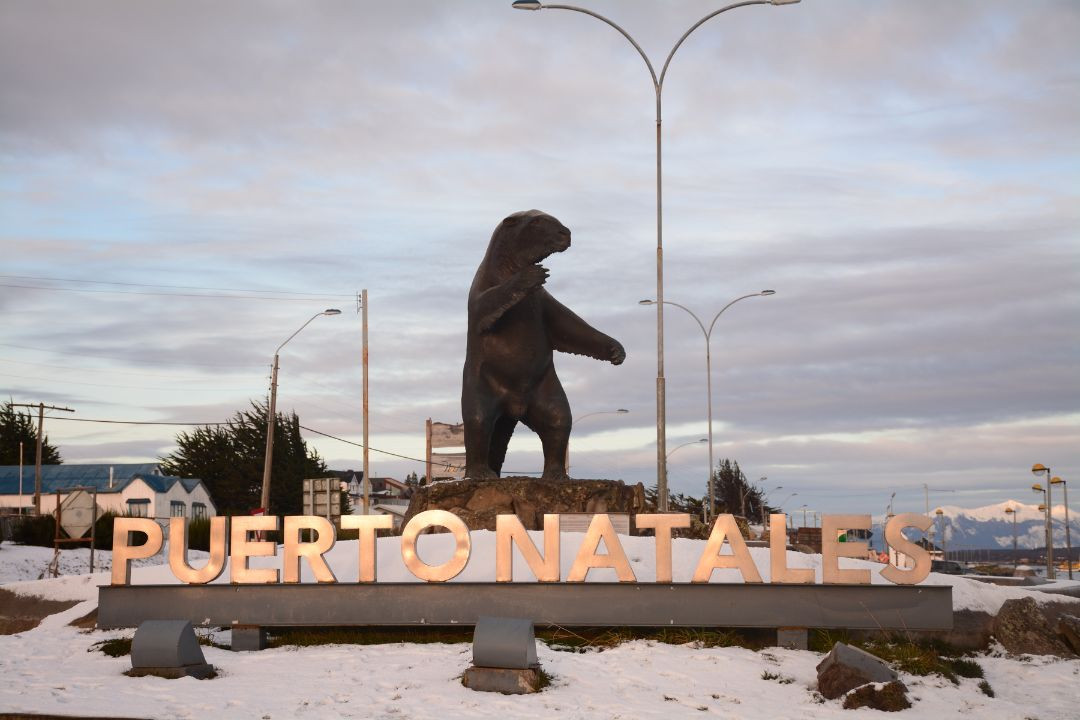 Tour Puerto Natales