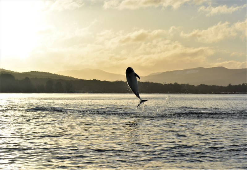 Multiactividad Estrecho de Magallanes