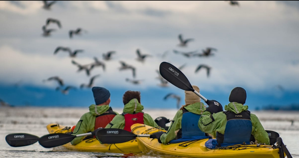 kayak 3