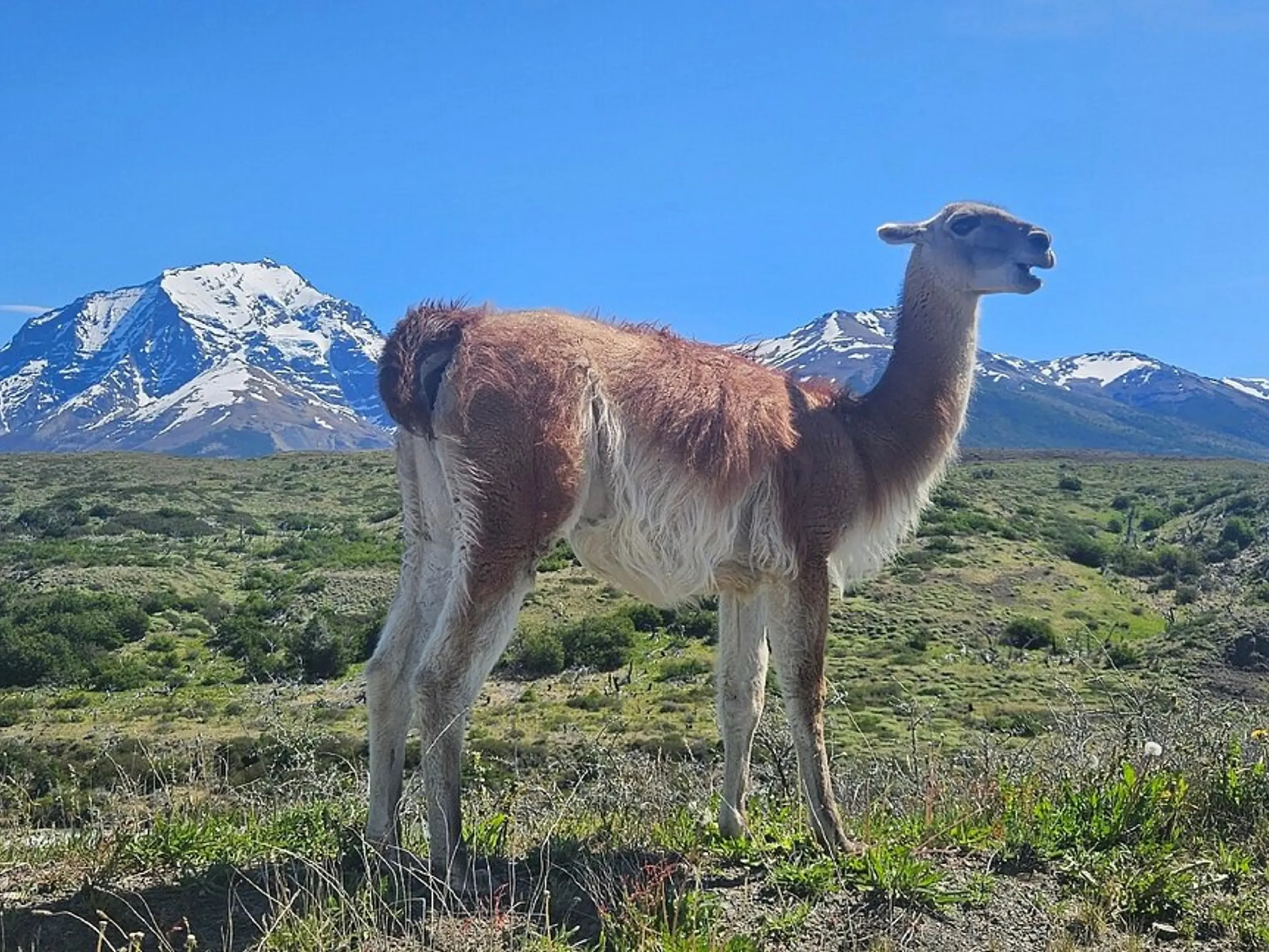 Cascada Paine