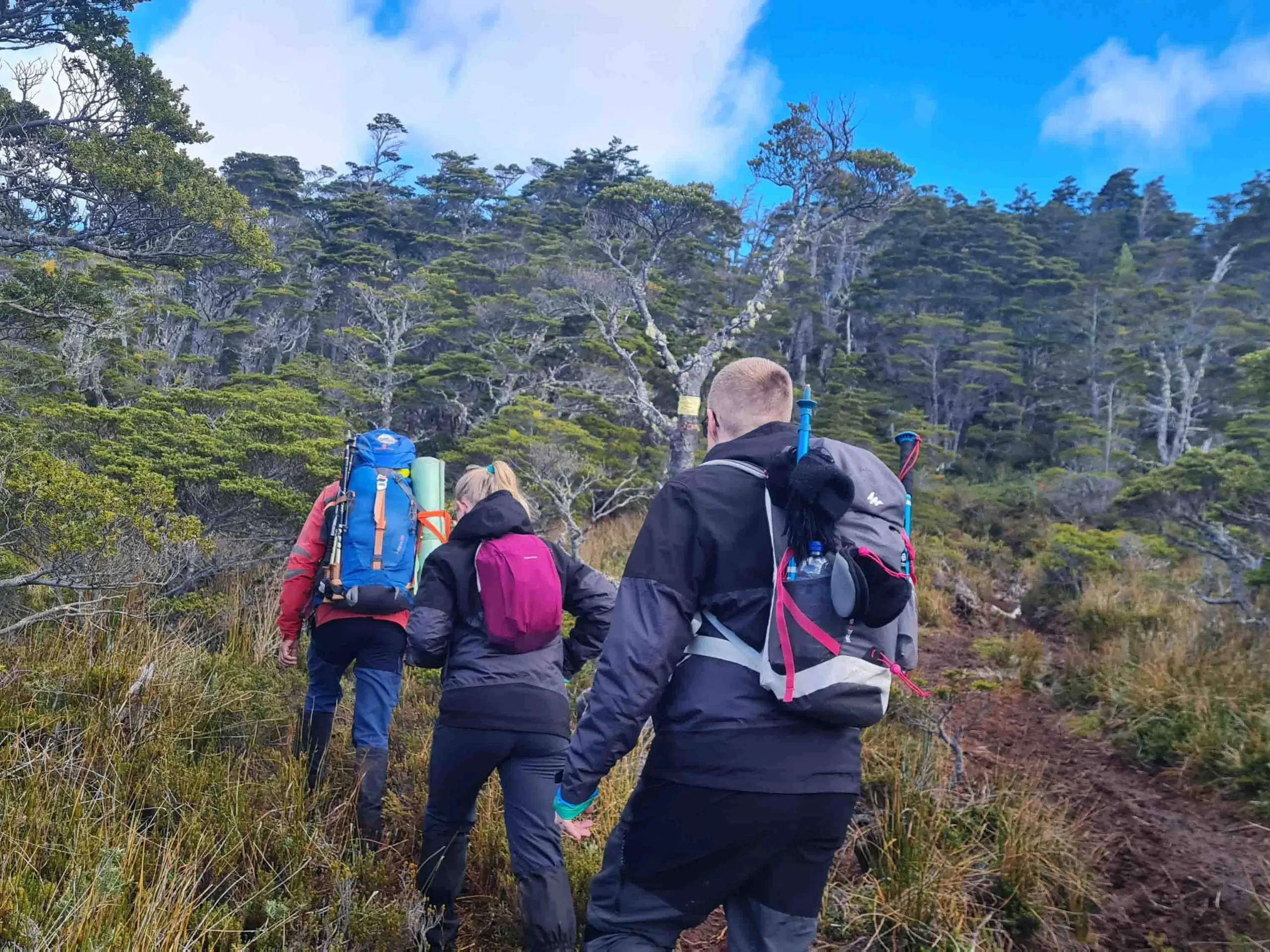 Trekking Monte Tarn