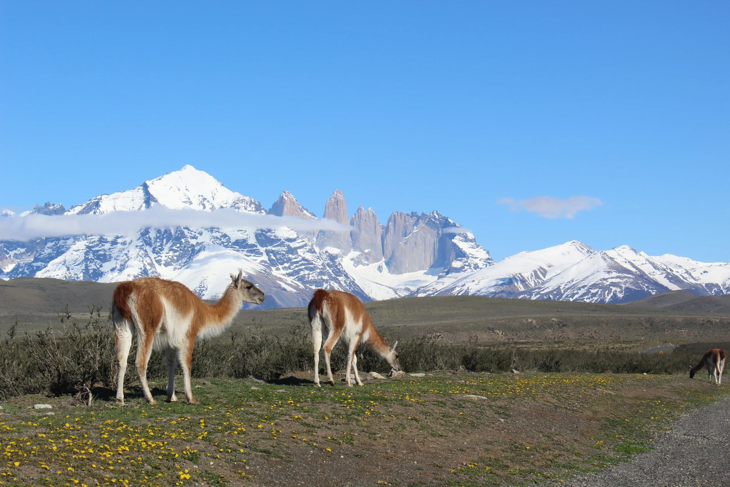 Vista panorámica