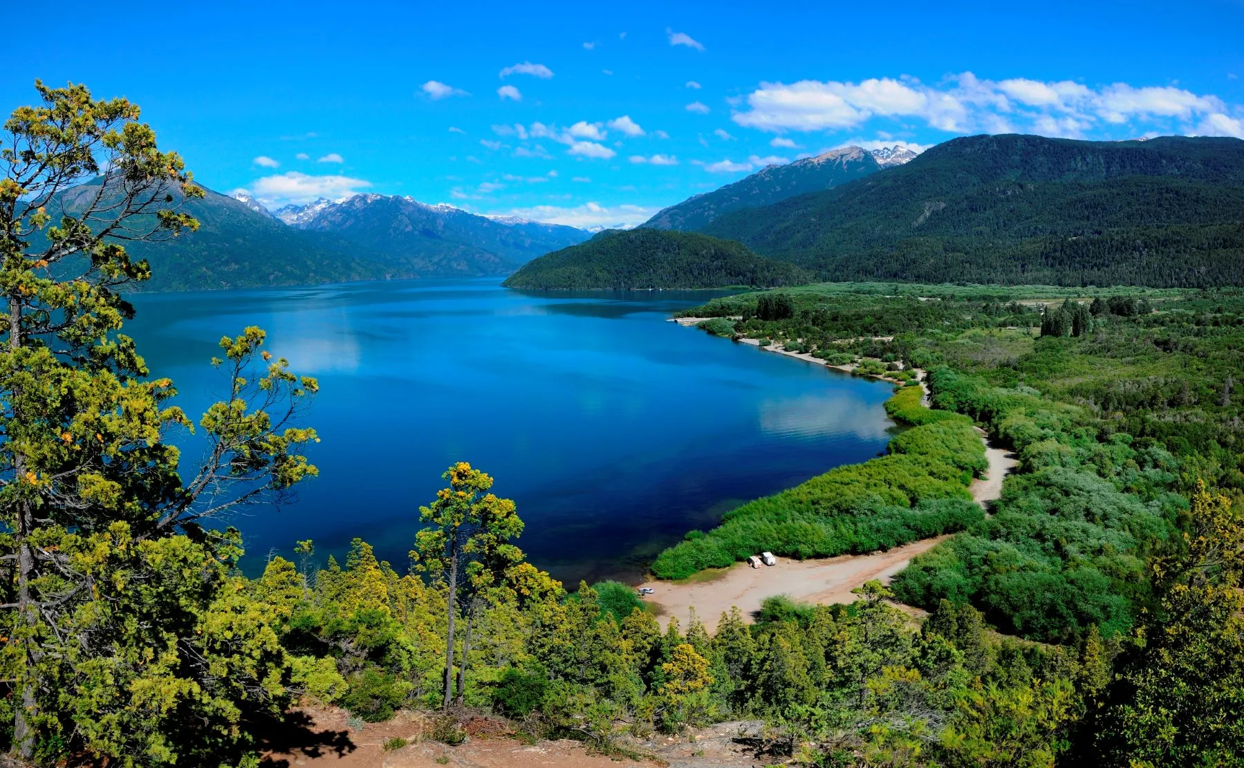 Lago y bosque