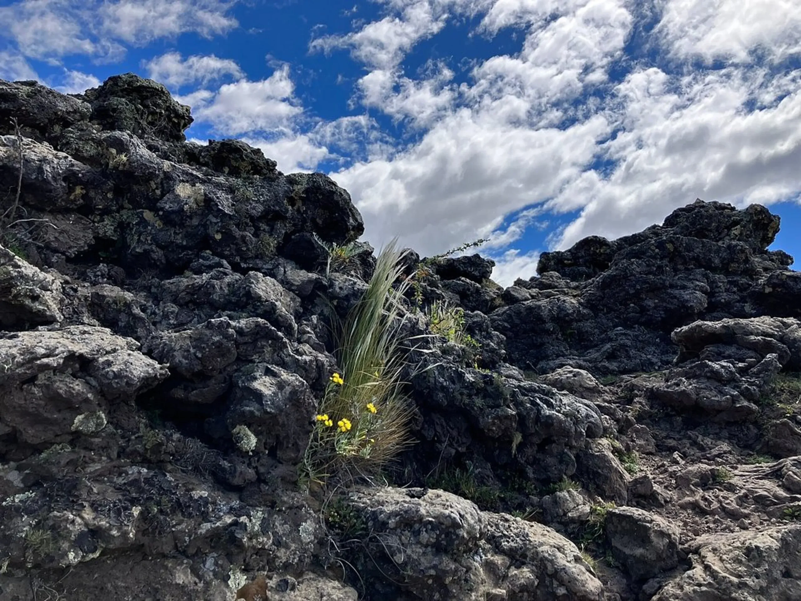 Parque Nacional Pali Aike