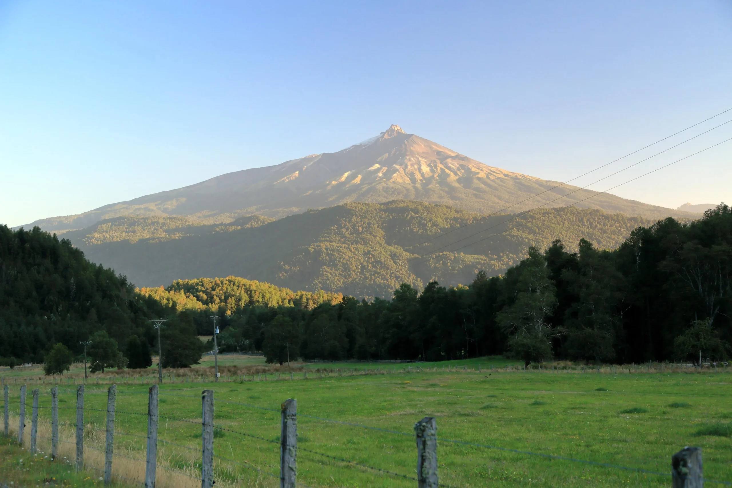 Sendero Baño de Bosque Cerro Mocho
