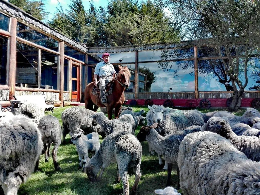 Estancia Fitz Roy