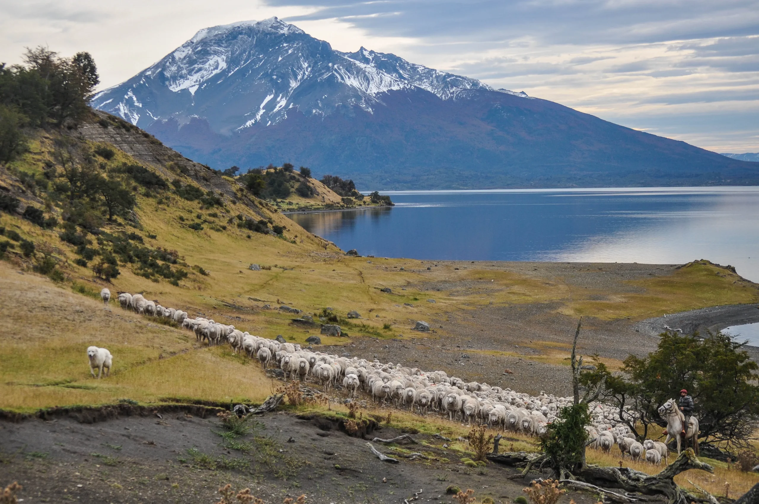 Paisaje estancia